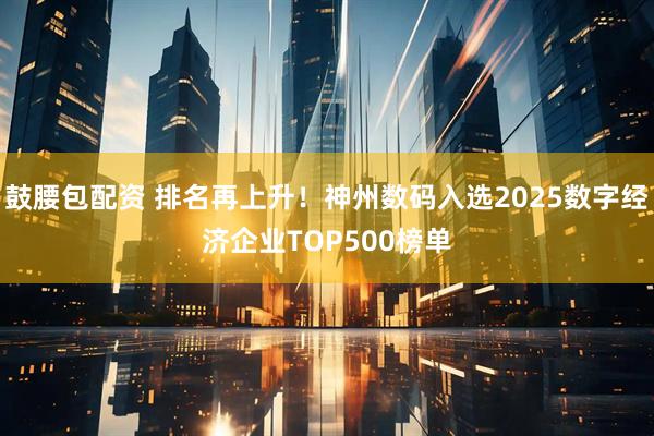 鼓腰包配资 排名再上升！神州数码入选2025数字经济企业TOP500榜单