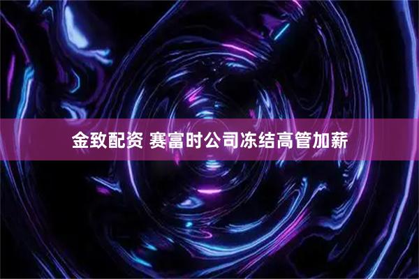 金致配资 赛富时公司冻结高管加薪